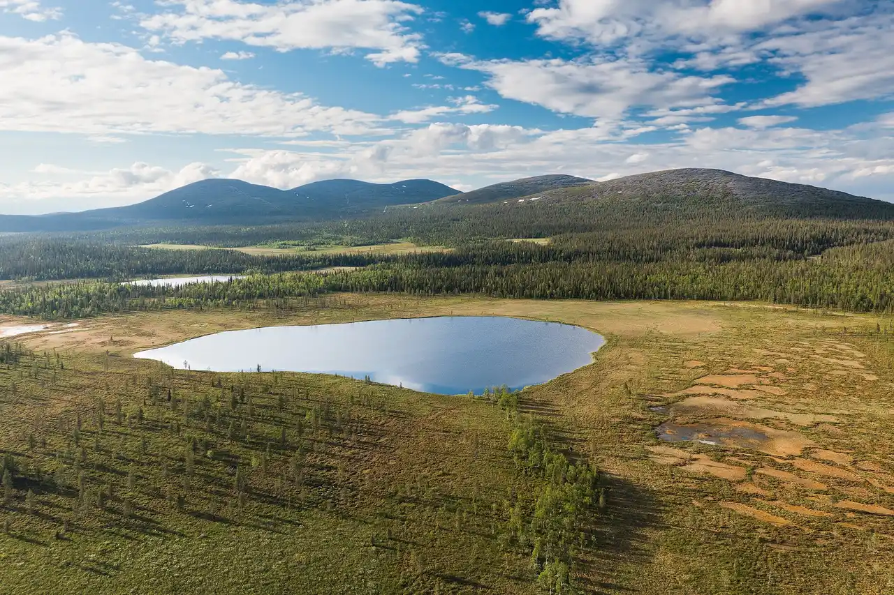 Lappi