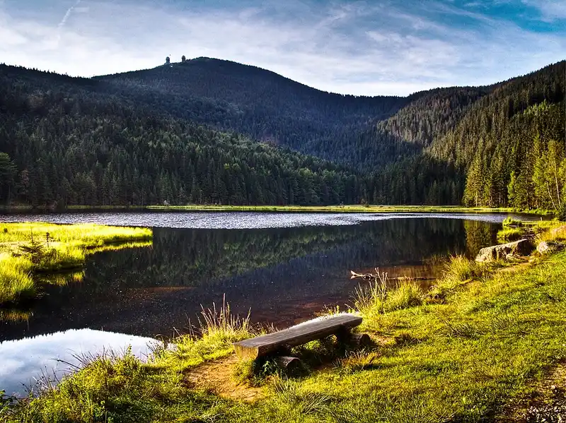 Bavarian Forest