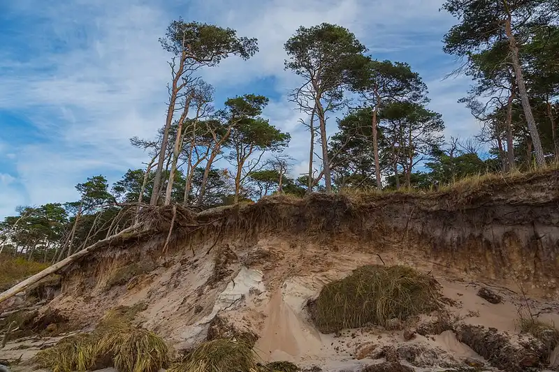 Western Pomerania Lagoon Area National Park