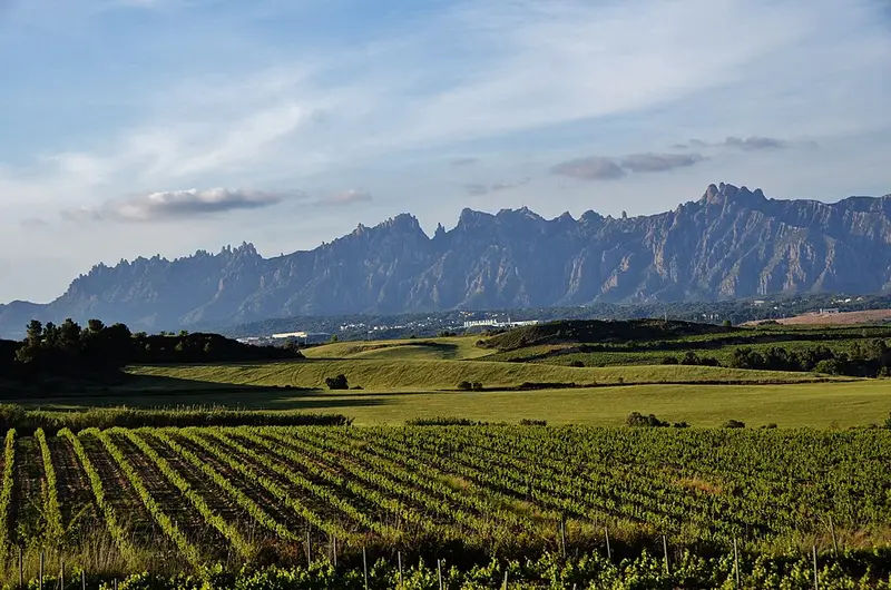Montserrat (mountain)